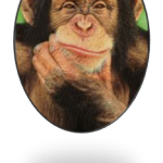 Who’s Really In Control; You or Your Chimp?