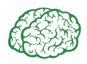 brain